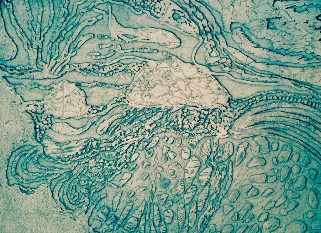 Karen Baden Thapa “Coral Daydreams” etching 9"x12" 2018 Karen Baden Thapa “Coral Daydreams” etching 9"x12" 2018