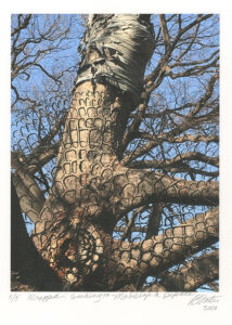 Barbara Foster, Wrapped Seeking to Mobilize a Defense, Woodcut on giclée photograph, 17 x 13 in, 2020 Barbara Foster, Wrapped Seeking to Mobilize a Defense, Woodcut on giclée photograph, 17 x 13 in, 2020