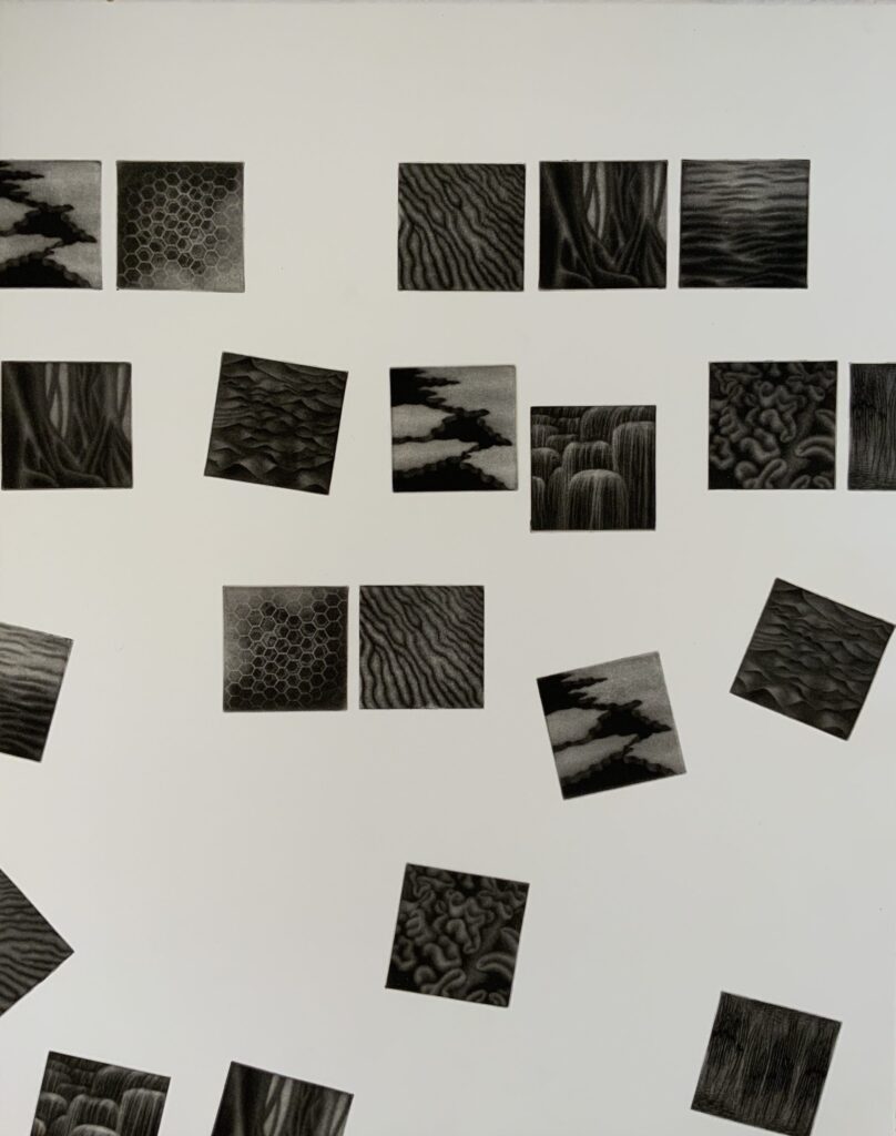 Holly Downing "Endangered..." multi-plate mezzotint engraving 30" x 22" Holly Downing "Endangered..." multi-plate mezzotint engraving 30" x 22"