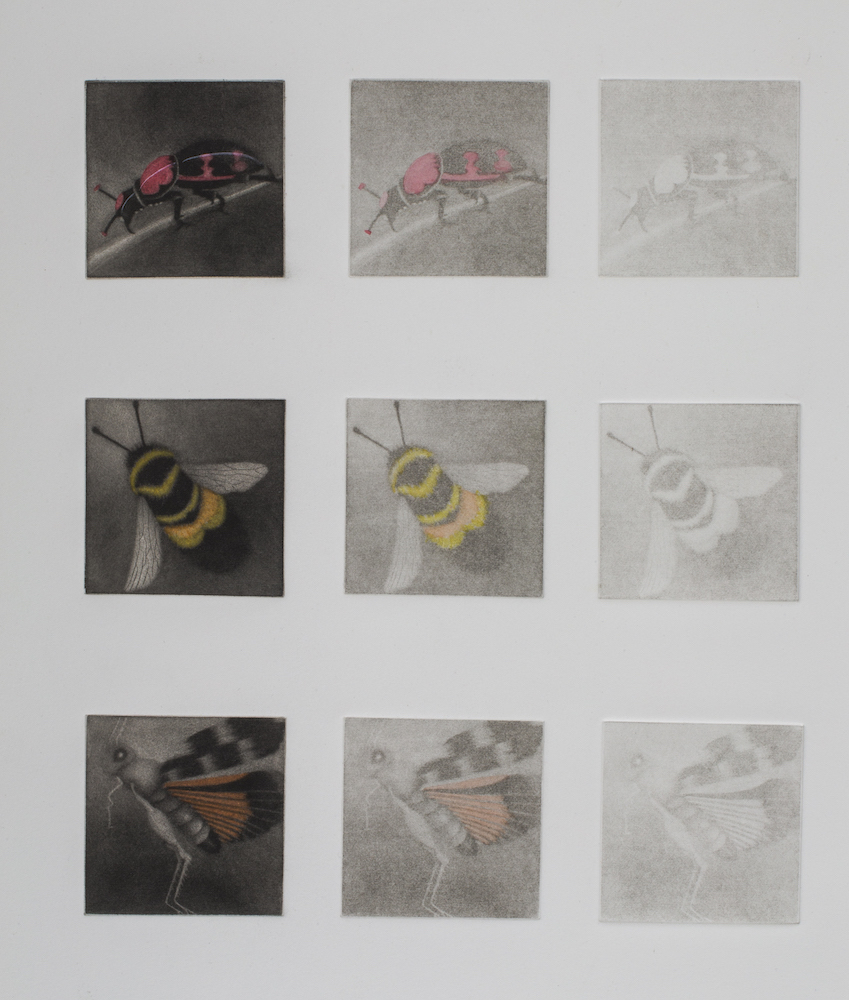 Holly Downing, Vanishing Gems I, multiple plate mezzotint engraving w/ watercolor, 22 in x 18 in, 2021 Holly Downing, Vanishing Gems I, multiple plate mezzotint engraving w/ watercolor, 18 in x 22 in, 2021