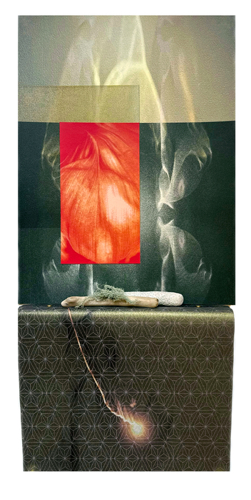 Sarah Sanford, Invisible Altar: Earth Trails, Screenprint, interference inks, inkjet overlay, collage, color pencil, digital kozo, wooden ledge, magnets, driftwood, rock and moss, 23" x 11" x 1.5", NFS