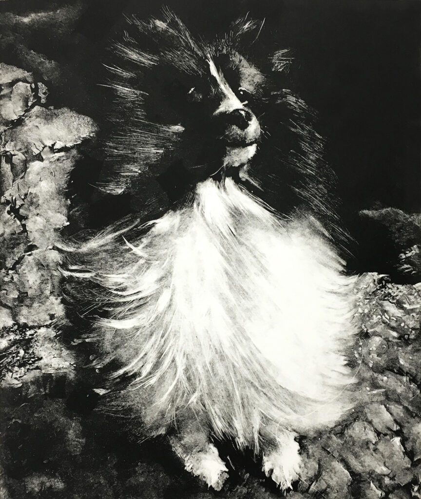 Kathryn Lesh, Beach Dog No.3, monotype, 11" x 14"