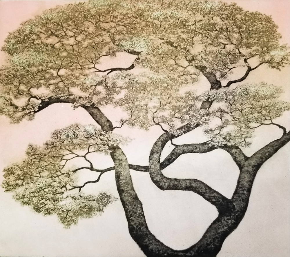 Linda Yoshizawa, Tree of Hope, Solar Plate Etching, 8 in x 7 in, 2021 Linda Yoshizawa, Tree of Hope, Solar Plate Etching, 8 in x 7 in, 2021