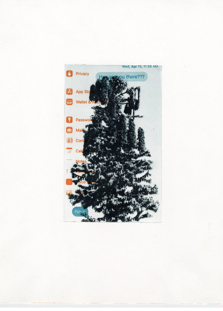 Mary V. Marsh, Here/Hear: Fir Top, privacy, photopolymer intaglio, photopolymer letterpress on Hahnemuhle Mary V. Marsh, Here/Hear: Fir Top, privacy, photopolymer intaglio, photopolymer letterpress on Hahnemuhle