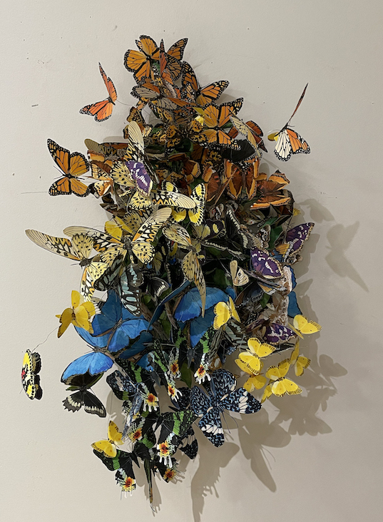 Monique Martin, Annus Mirabilis, ink on paper, magnet, wire with mulberry paper 25 - 35 layers per side, hand cut out (currently there are 25,000 butterflies in the collection), 24 x 12”, NFS