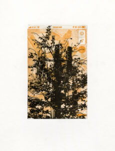 Mary V Marsh, here hear Valley Oak map, photopolymer gravure and letterpress, 15 x 11 in, 2020 Mary V Marsh, here hear Valley Oak map, photopolymer gravure and letterpress, 15 x 11 in, 2020