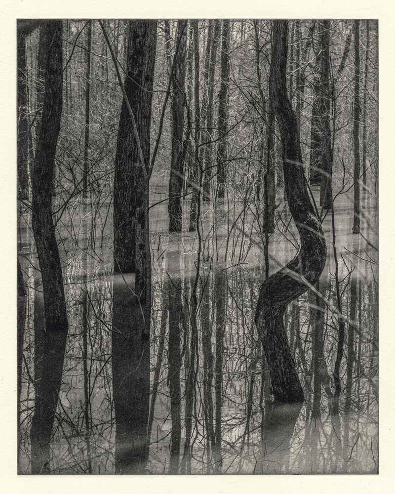 Megan Pater, The Mind and the Land (Untitled 1), Photopolymer gravure, 10 in x 8 in, 2021 Megan Pater, The Mind and the Land (Untitled 1), Photopolymer gravure, 10 in x 8 in, 2021