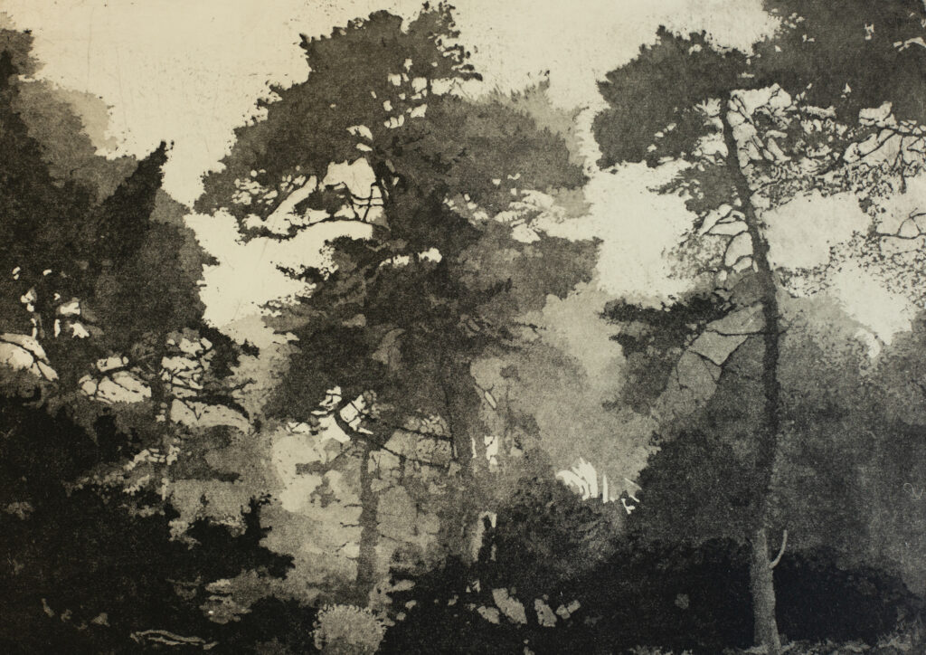 Michael O'Shea, aquatint, etching, 8" x 11" 2019 Michael O'Shea, aquatint, etching, 8" x 11" 2019