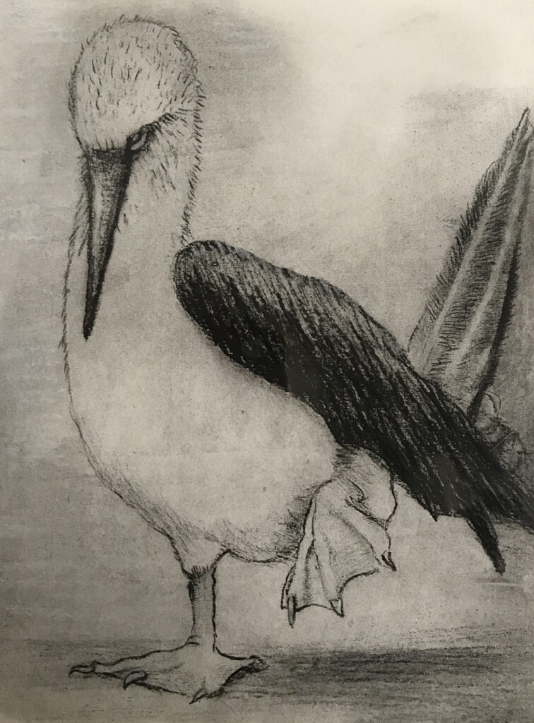 Pat Prosek "Step Up" etching 7.5" x 9.5" 2007 Pat Prosek "Step Up" etching 7.5" x 9.5" 2007