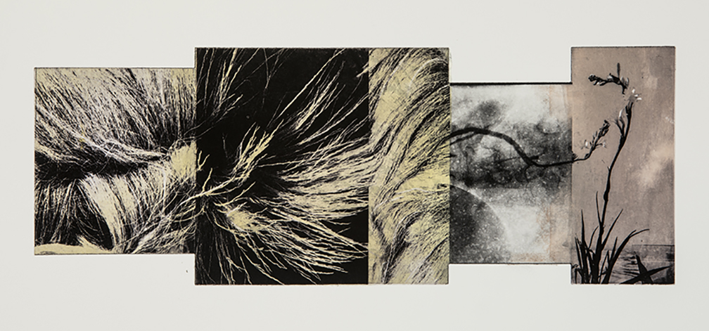 Robynn Smith, Mane And My Heart #5, Solarplate Etching, 7 in x 18 in, 2021 Robynn Smith, Mane And My Heart #5, Solarplate Etching, 7 in x 18 in, 2021