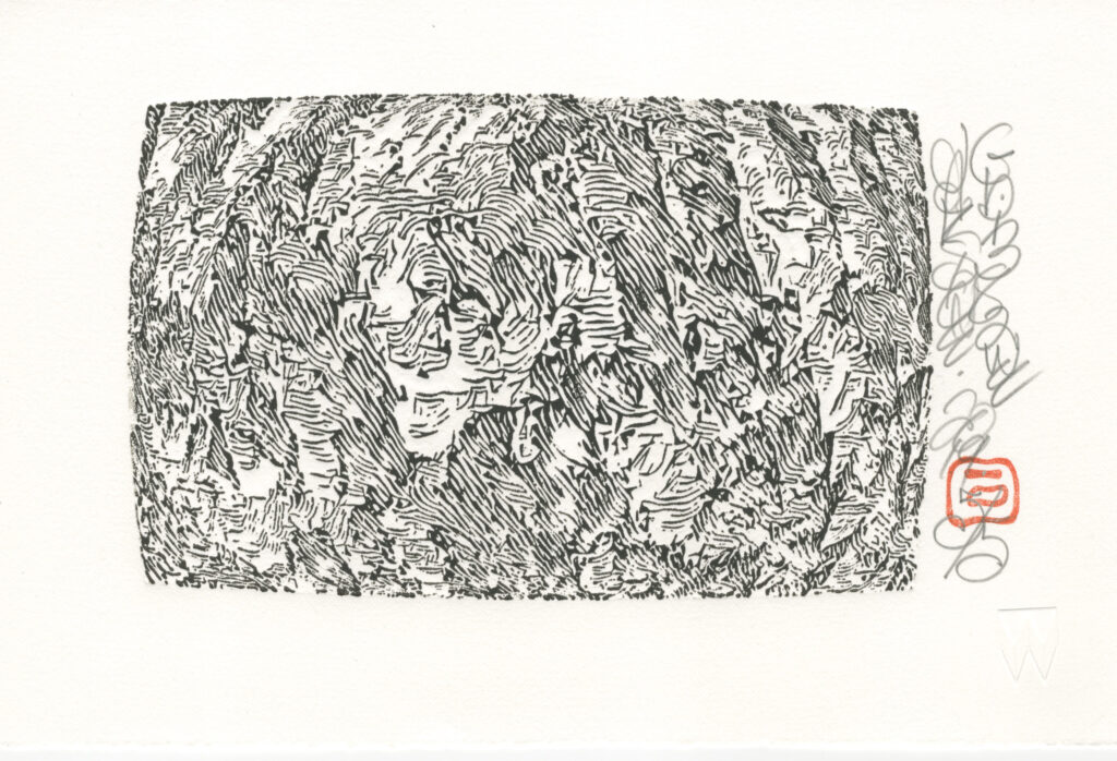 Jack Stone "Gbi382wE" woodcut 5" x 7.5" 2019 Jack Stone "Gbi382wE" woodcut 5" x 7.5" 2019