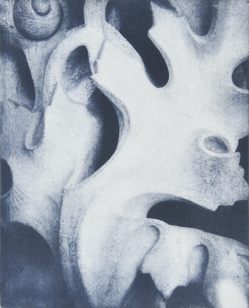 Alice M. Stern “Filigree” solarplate etching from original photograph 10" x 8" 2019