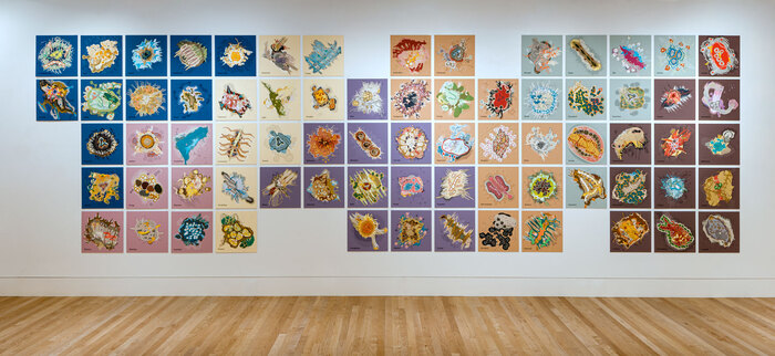 Kent Manske and Nanette Wylde, Table of Traits, collages built from screen printed works on paper mounted on digitally printed archival pigment print backgrounds and adhered to 8-ply museum board, 79" x 255" x .5" (15" x 15" x .5 squares), $28,000