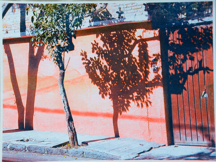 Carol Hayman, Tree Shadows, risograph, 11" x 17" x .5", $200