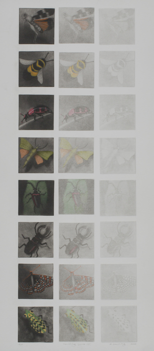 Holly Downing, Vanishing Gems IV, 24 mezzotint engravings and watercolor, 28" x 12", $1,800