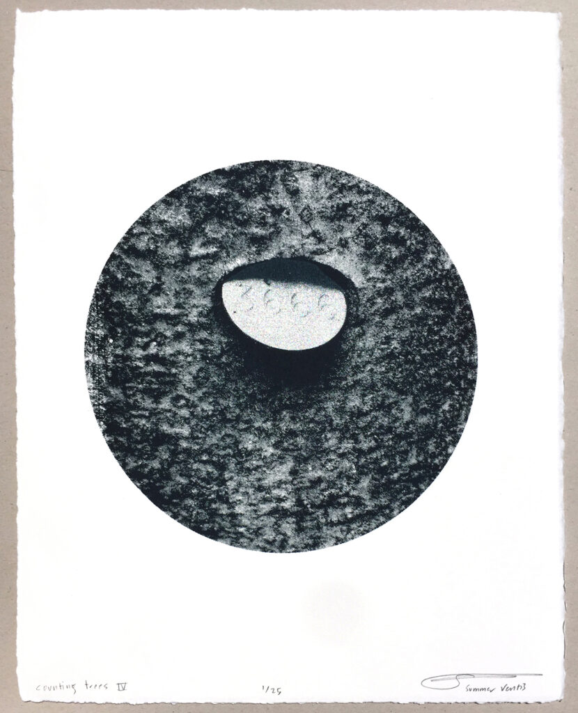 Summer Ventis "Counting Trees IV" ??? technique? 14" x 11" 2019 Summer Ventis "Counting Trees IV" ??? technique? 14" x 11" 2019