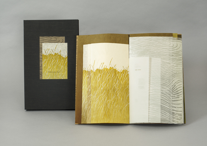 Macy Chadwick, Waiting for Rain, artist's book: letterpress, linoleum, relief, 17" x 20" x 1", NFS