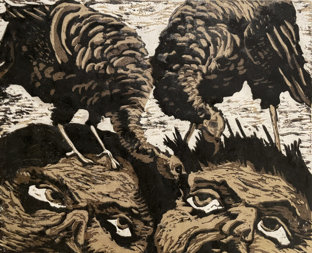 Joanna Kidd, Turkeys. reduction woodcut, 8" x 12"