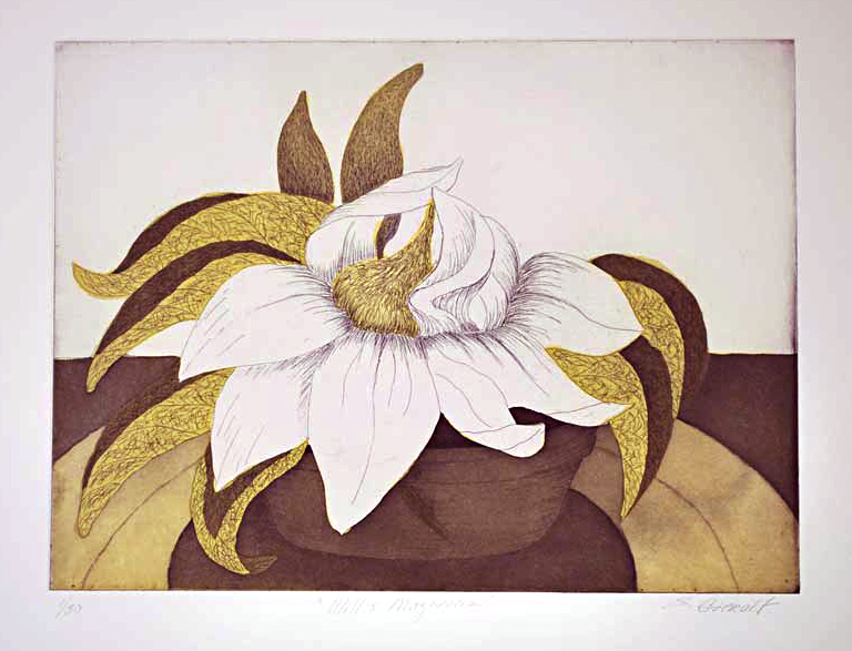 Stephanie Gieralt Mullaly, Wills Magnolia, 2 Plate Color Intaglio (Hard Ground, Aquatint), 9 in x 12 in, 2017 Stephanie Gieralt Mullaly, Wills Magnolia, 2 Plate Color Intaglio (Hard Ground, Aquatint), 9 in x 12 in, 2017